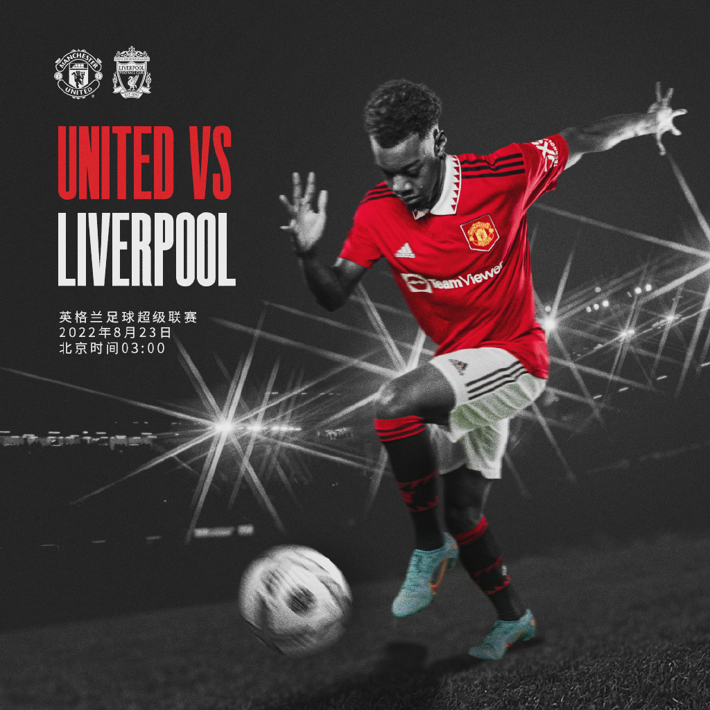 喜鹊的成功 喜鹊的成功