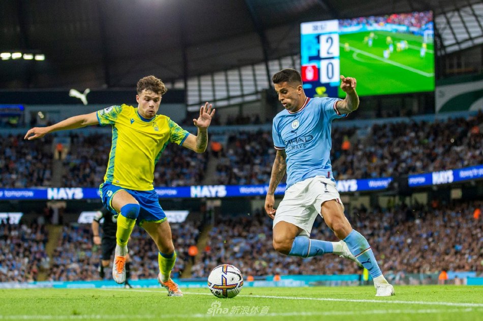 术与智慧的 术与智慧的